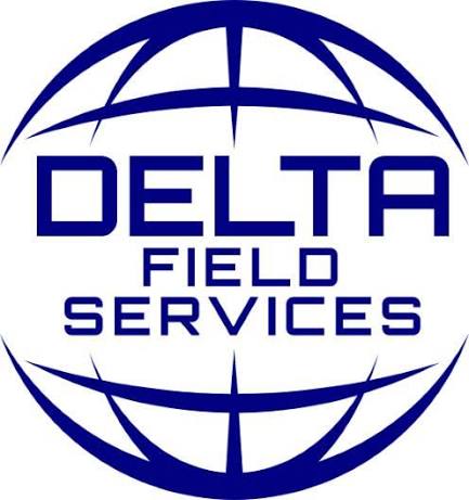 Delta Field Services logo